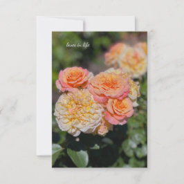 Tarjeta Pequeña Rosas amarillas y rosas bonitos