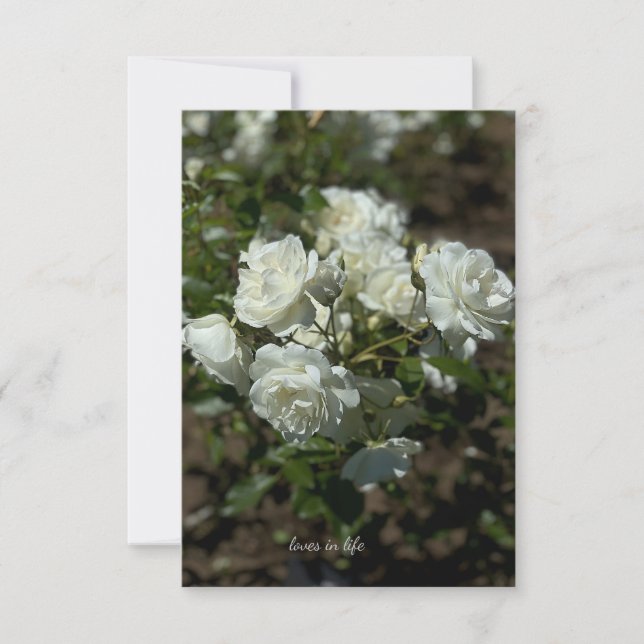 Tarjeta Pequeña Rosas blancas de bonito (Anverso)