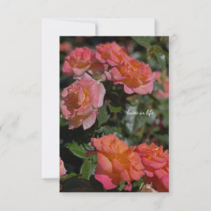 Tarjeta Pequeña Rosas de color salmón y pastas