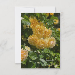 Tarjeta Pequeña Rosas del Bunch of Yellow Garden