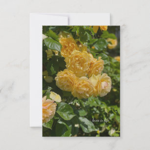 Tarjeta Pequeña Rosas del Bunch of Yellow Garden