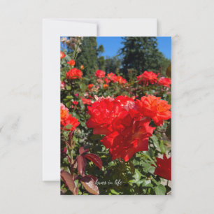 Tarjeta Pequeña Rosas naranjas, cielo azul