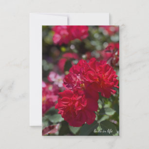 Tarjeta Pequeña Roses rojos completos