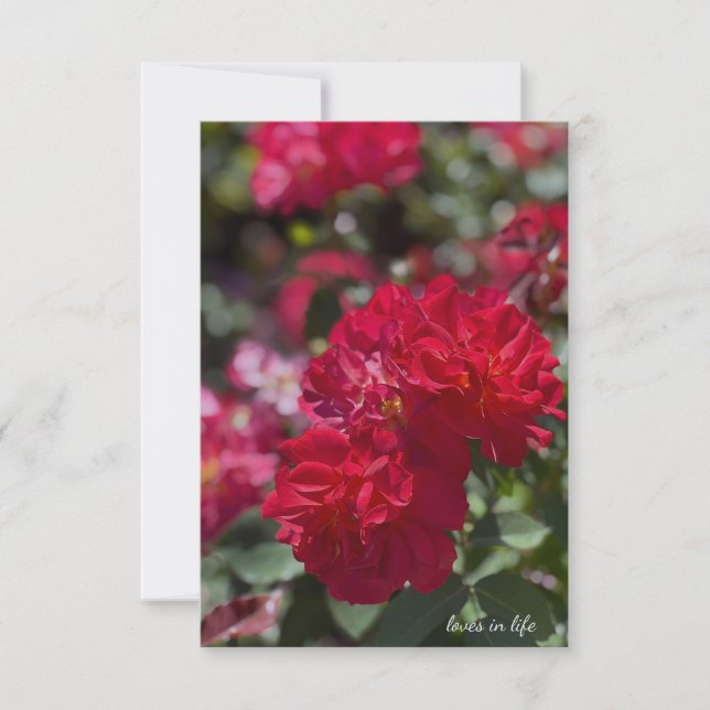 Tarjeta Pequeña Roses rojos completos (Anverso)