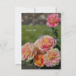 Tarjeta Pequeña Roses rosadas y amarillas multicolor