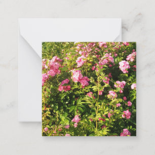 Tarjeta Pequeña Roses rosas florecientes
