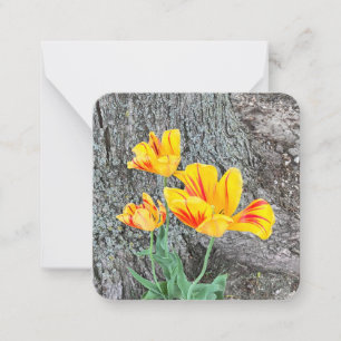 Tarjeta Pequeña Secuencia de tulipanes amarillos / plana