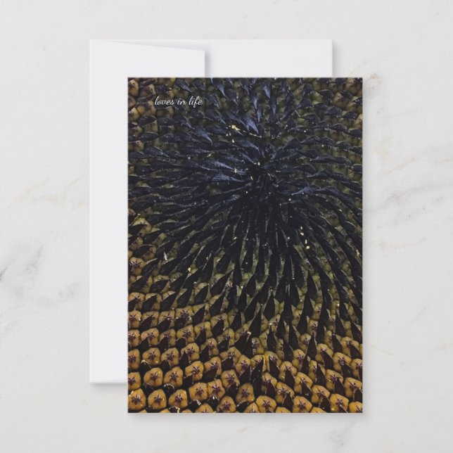 Tarjeta Pequeña Semillas de girasol negro (Anverso)