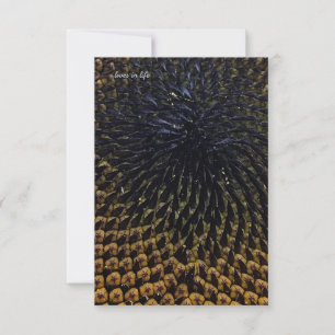 Tarjeta Pequeña Semillas de girasol negro
