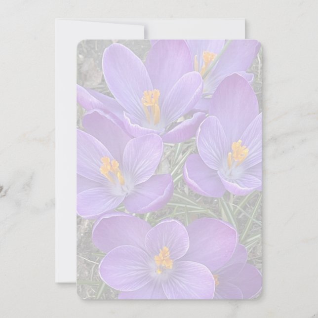 Tarjeta Pequeña Señal de Primavera (Anverso)