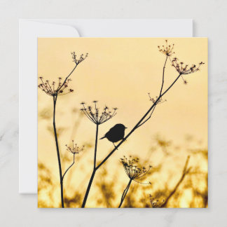 Tarjeta Pequeña Silhouette of chickadee perched against gold light