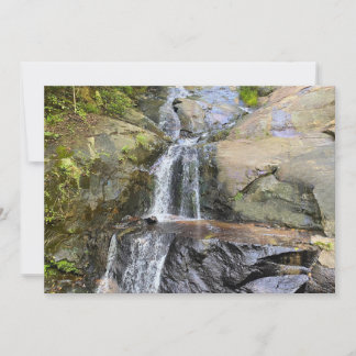 Tarjeta Pequeña Silvervale Falls Serenity