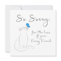 Simpatía por el gato mascota