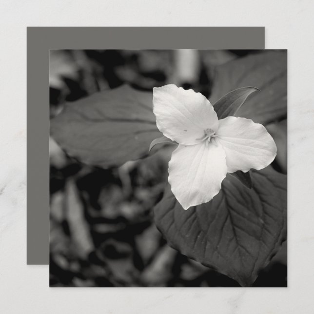 Tarjeta Pequeña Spring Trillium Black and White  (Anverso / Reverso)
