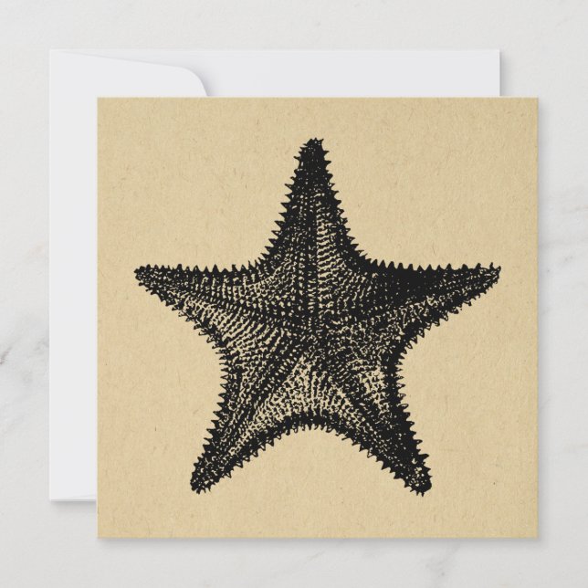 Tarjeta Pequeña Starfish Ilustracion Ocean Art Vintage Starfish (Anverso)