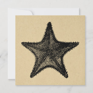 Tarjeta Pequeña Starfish Ilustracion Ocean Art Vintage Starfish