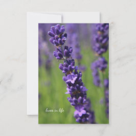 Tarjeta Pequeña Stem de lavanda simple