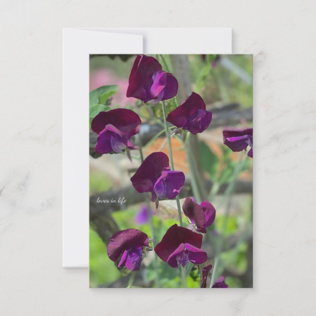 Tarjeta Pequeña Sweet Peas (Anverso)