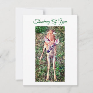 Tarjeta Pequeña Thinking Of You Flat Note Card With Fawn