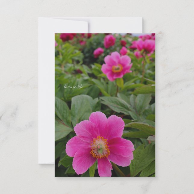 Tarjeta Pequeña Tonos rosados únicos (Anverso)