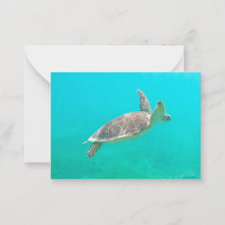 Tarjeta Pequeña Tortuga caribeña