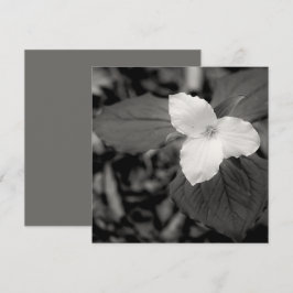 Tarjeta Pequeña Trillium de primavera en blanco y negro 