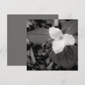 Tarjeta Pequeña Trillium de primavera en blanco y negro