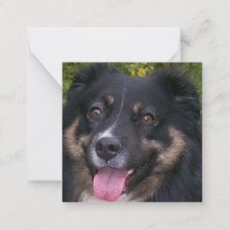 Tarjeta Pequeña trío negro australiano