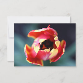 Tarjeta Pequeña Tulip Notecard