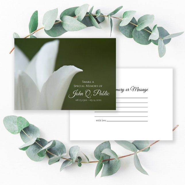 Tarjeta Pequeña Tulipán blanco en verde comparte funeral de memori (Subido por el creador)