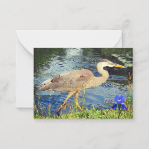 Tarjeta Pequeña Una garza azul