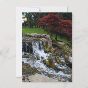 Tarjeta Pequeña Una pequeña cascada