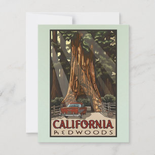 Tarjeta Pequeña Viaje de secuoyas de California