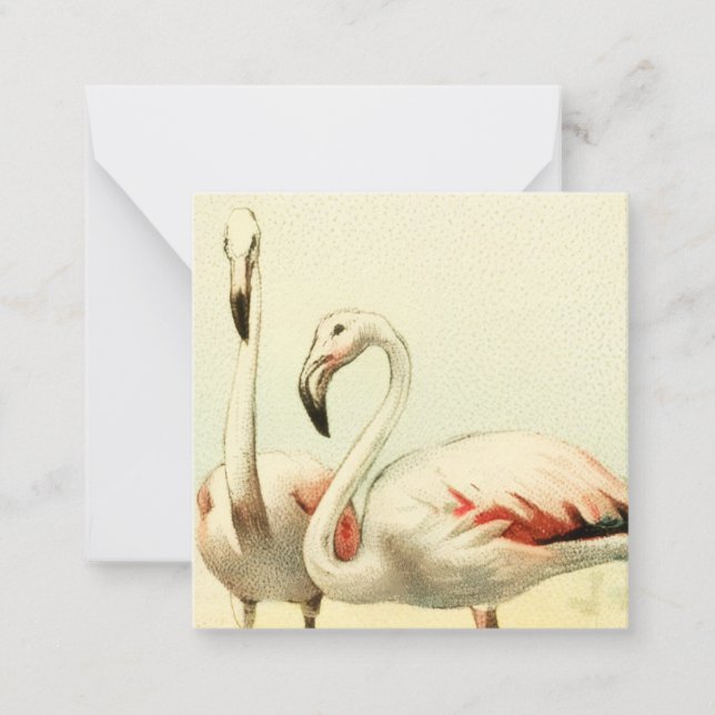 Tarjeta Pequeña Vintage Flamingo (Anverso)