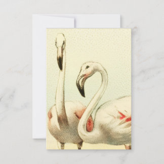 Tarjeta Pequeña Vintage Flamingo