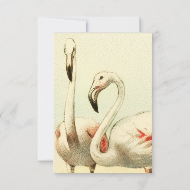 Tarjeta Pequeña Vintage Flamingo (Anverso)