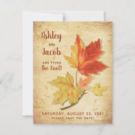 Tarjeta Pequeña Vintage Maple Leaves de Otoño Boda Guardar la fech
