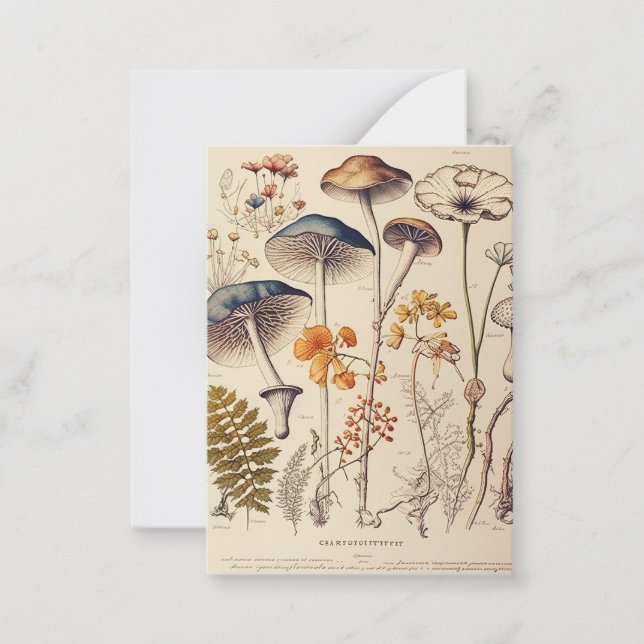 Tarjeta Pequeña Vintage Mushroom Naturalist (Anverso)