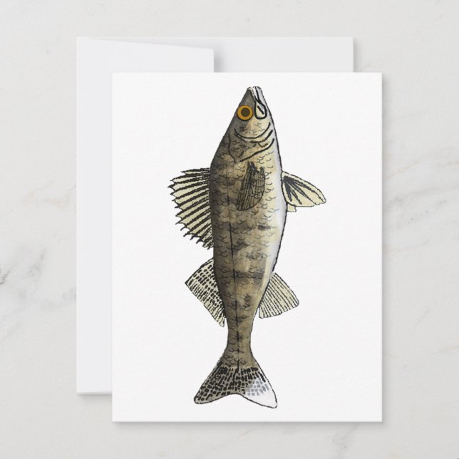 Tarjeta Pequeña Walleye (Anverso)
