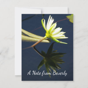 Tarjeta Pequeña White Lotus Waterlily