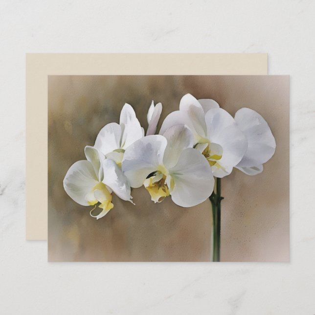 Tarjeta Pequeña White Orchid Flowers Art Note Card Set  (Anverso / Reverso)
