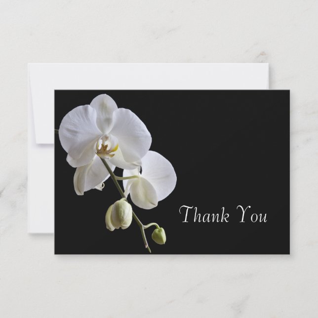 Tarjeta Pequeña White Orchid sobre la planicie de Bodas negros Not (Anverso)