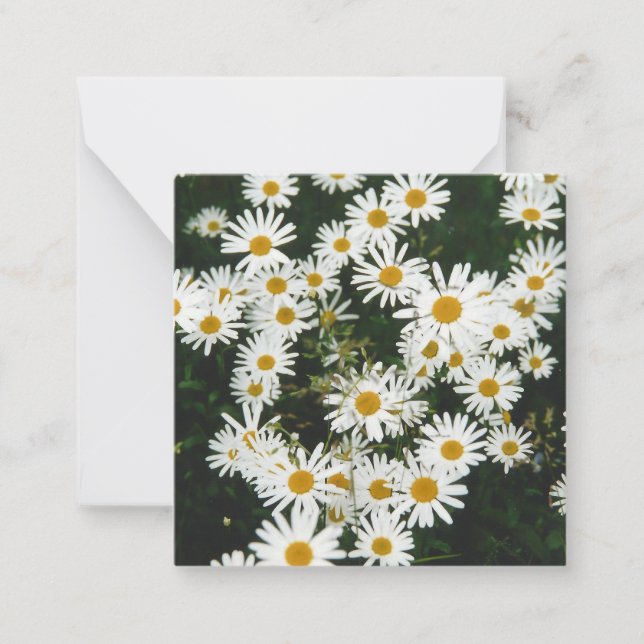 Tarjeta Pequeña White Oxeye Daisy, Moon Daisy Meadow (Anverso)