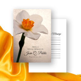 Tarjeta Pequeña White Spring Daffodil comparte funeral de memoria