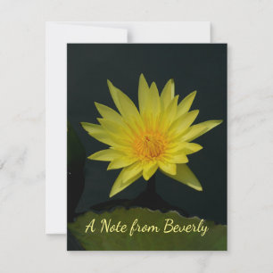 Tarjeta Pequeña Yellow Lotus Waterlily
