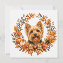 Yorkshire Terrier Otoño