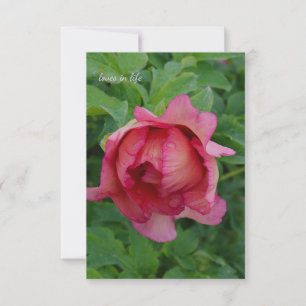 Tarjeta Pequeña Yummy Pink Blooming Peony