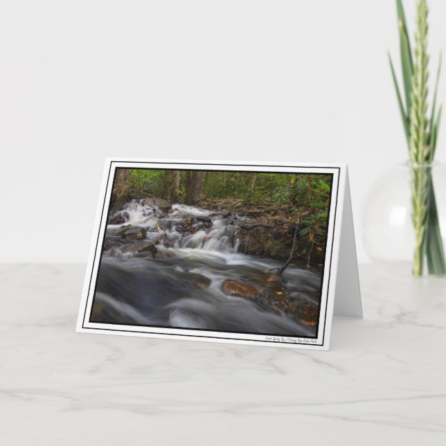 Tarjeta Pequeñas caídas en la carrera de la primavera de a (Anverso)