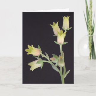 Tarjeta Pequeñas flores durante la Cuaresma