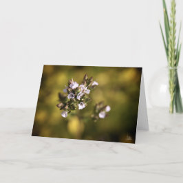 Tarjeta Pequeñas flores [tarjeta de felicitación]